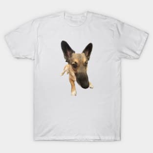 HOGAN Dog T-Shirt